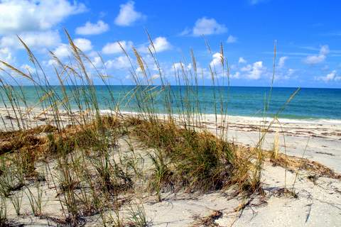 Palm Island Vacation Rental